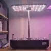 LED grown lights smart system 4