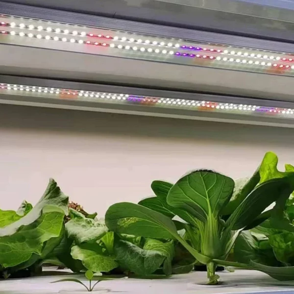 Led Grow Lights For Plants 3