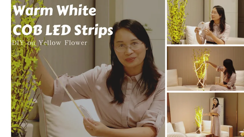 Led Strip Lights Decoration Ideas --For Flowers