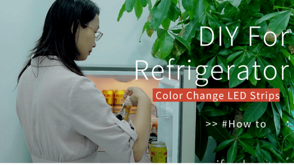 Color Change Temperature CCT White COB LED Strips DIY