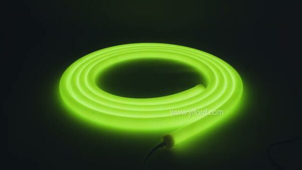 Round 360 degree neon flexible led light strips D20